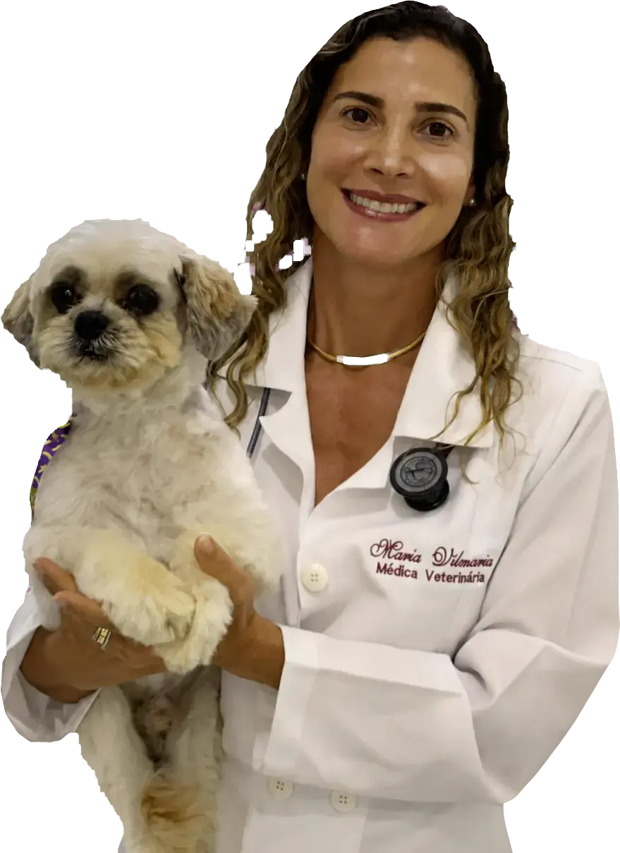 Dra. Maria Vilmaria, cardiologia veterinária